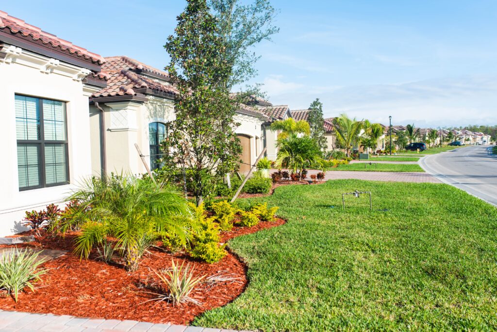 The Art of Decks & Outdoor Living: A Blueprint for Your Backyard Oasis
