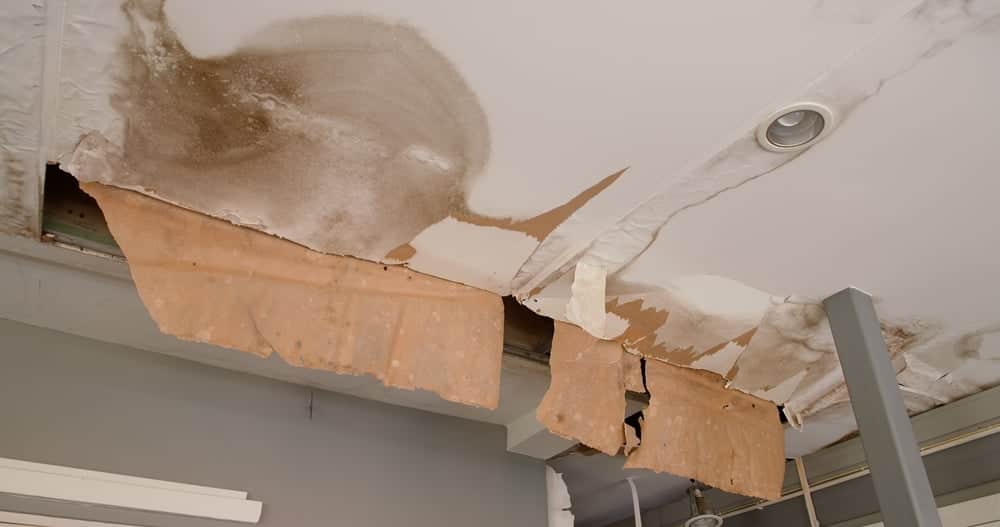 Wood Rot Repair Central Florida: Professional Deck Safety & Restoration 1 A ceiling with severe water staining and peeling wallpaper, showing exposed structural elements underneath.