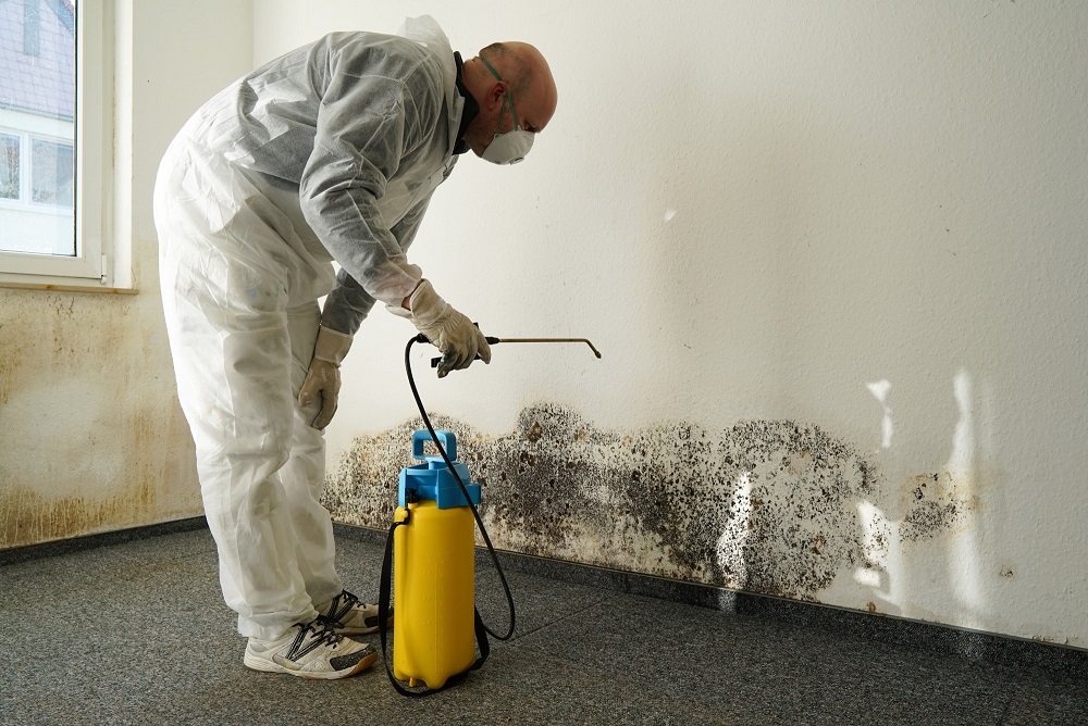 A professional mold remediation specialist in a white hazmat suit, mask, and gloves using a pressurized sprayer to treat extensive black mold growth on a white interior wall.